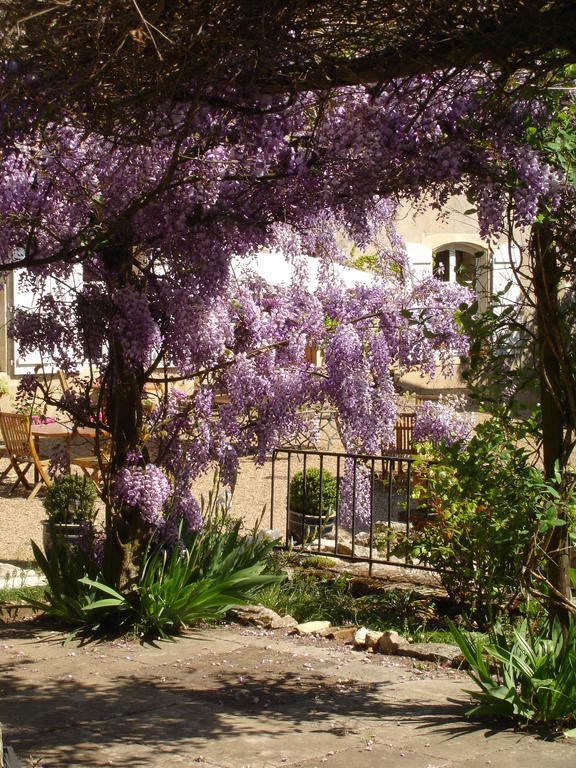 Le Relais Du Lyon D'Or Hotel Angles-sur-l'Anglin Luaran gambar