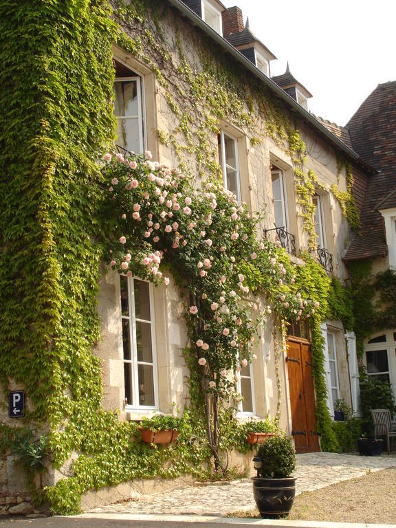 Le Relais Du Lyon D'Or Hotel Angles-sur-l'Anglin Luaran gambar